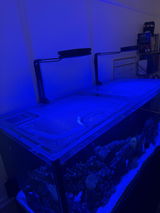 Caitlin Besaw review photo