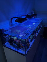 Waterbox Frag 165.6 review photo