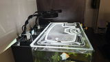 Joshua Skidds review photo