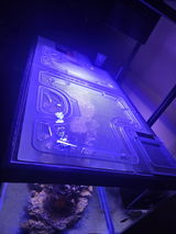 Custom overflow 40 breeder review photo