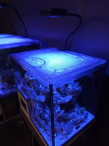Jeff L review photo