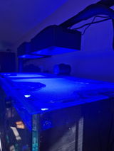 Neptunian 125 review photo