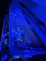 Miki’s Floating Sump review photo