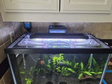 rushmatic review photo