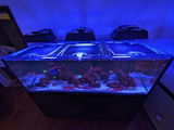 James review photo