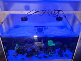 WaterboxReef review photo