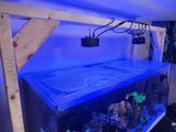WaterboxReef review photo