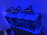 Edwin R Bonilla review photo