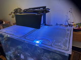 Mike G review photo
