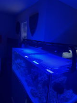 Hunter’s Tank review photo