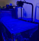 Ellen’s Reef review photo
