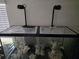 Scott S review photo