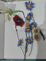 Bushra Noor review photo
