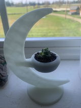 Aleta Stock review photo