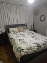 DaiBriHugh review photo