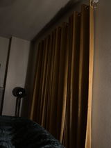 Brandy Vasher review photo