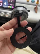 Jolie B. review photo