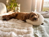 B. review photo