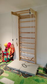 Swedish Ladder Combo