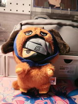 Leo review photo