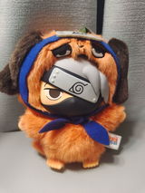 Chloe review photo
