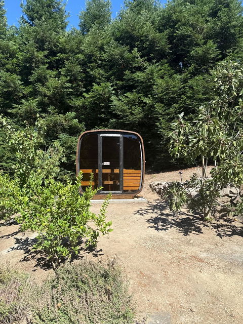 Customer photo 4 from David S.'s review of the SaunaLife CL5G