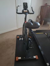 Wombat review photo