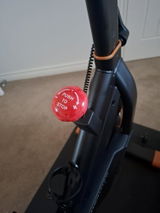 Wombat review photo