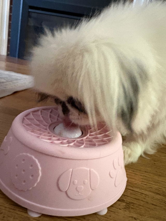 Customer photo from Katie's review of The Hush Bowl