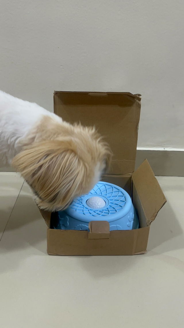 Customer photo from Rajeshjathar's review of The Hush Bowl