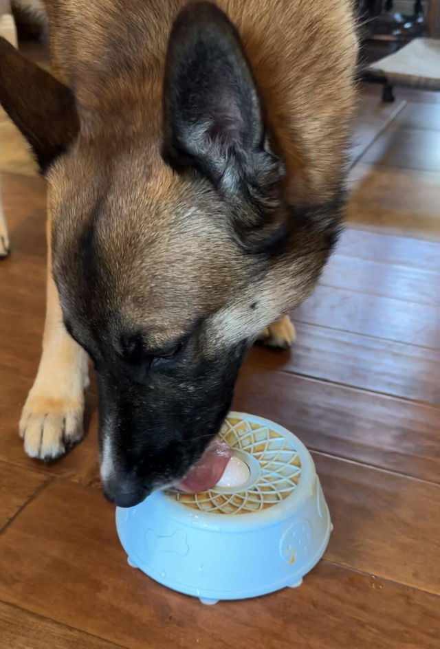 Customer photo from Ria Patilano's review of The Hush Bowl