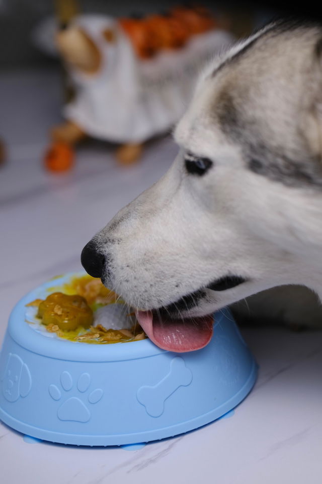 Customer photo from Alaskathehusky's review of The Hush Bowl