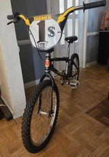 Jorge Shuton review photo