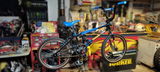 Troy Moszer review photo