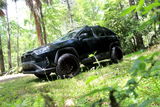 20ravenbuggy review photo