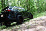 20ravenbuggy review photo