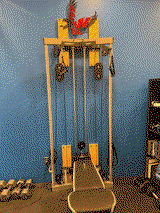 Barton C. review photo