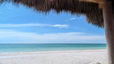 ROBERT M BRINTON Bradenton Fl. review photo