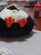 匿名 review photo