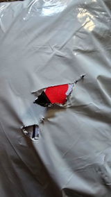 Tomek review photo