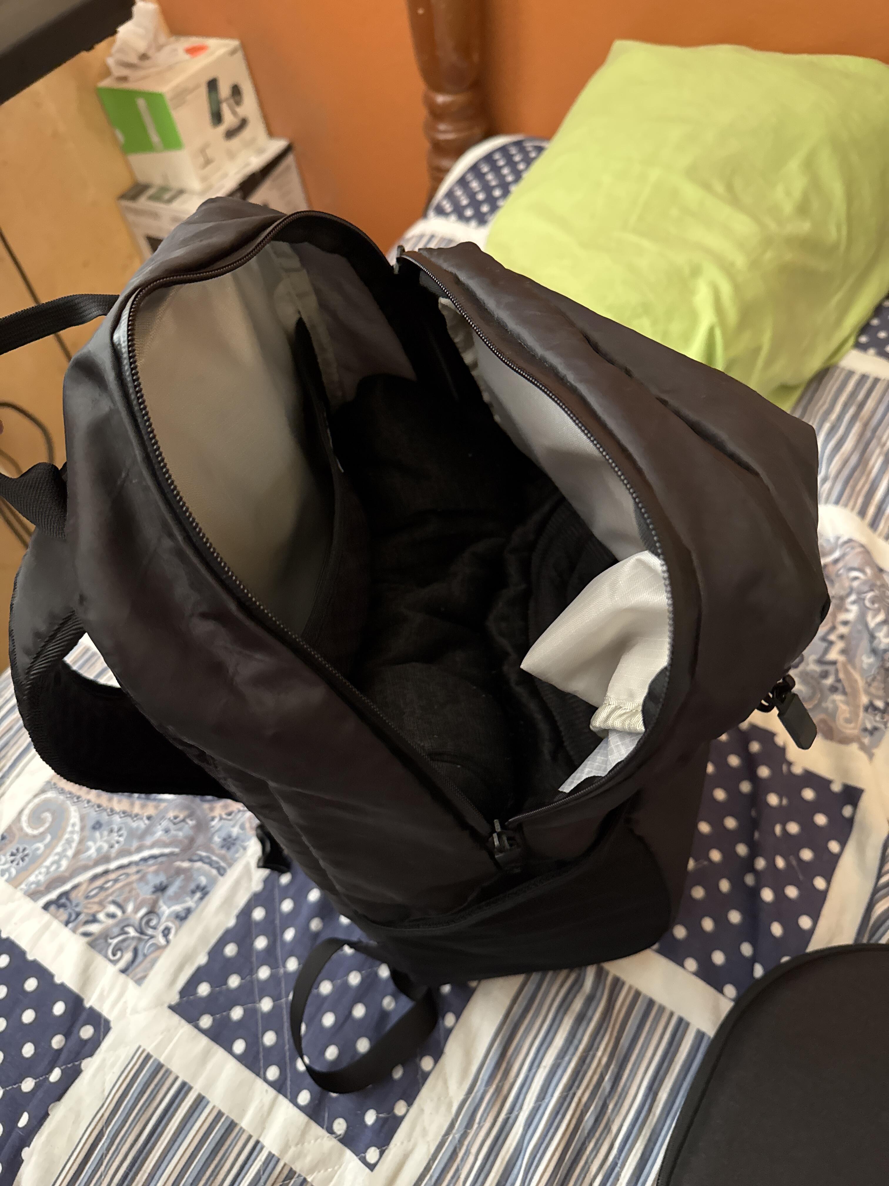 Cesar review photo