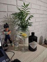 Camilo review photo