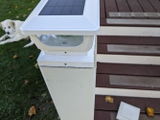 S. Nelson review photo