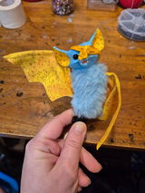 Robin review photo