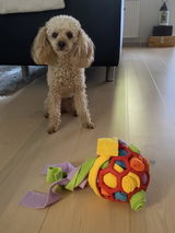 Rikke S. review photo
