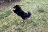 Inge M. review photo