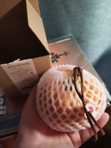 Shantel review photo
