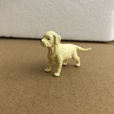 Angie A. review photo