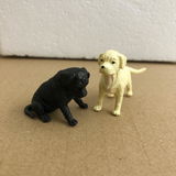 Angie A. review photo