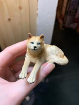 Brianna review photo